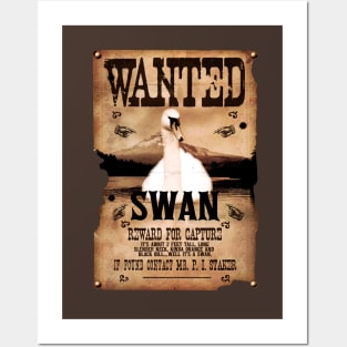 The most wanted Swan in Sandford Posters and Art